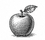 apple