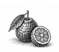 Seville orange