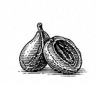 fig
