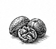 nuts